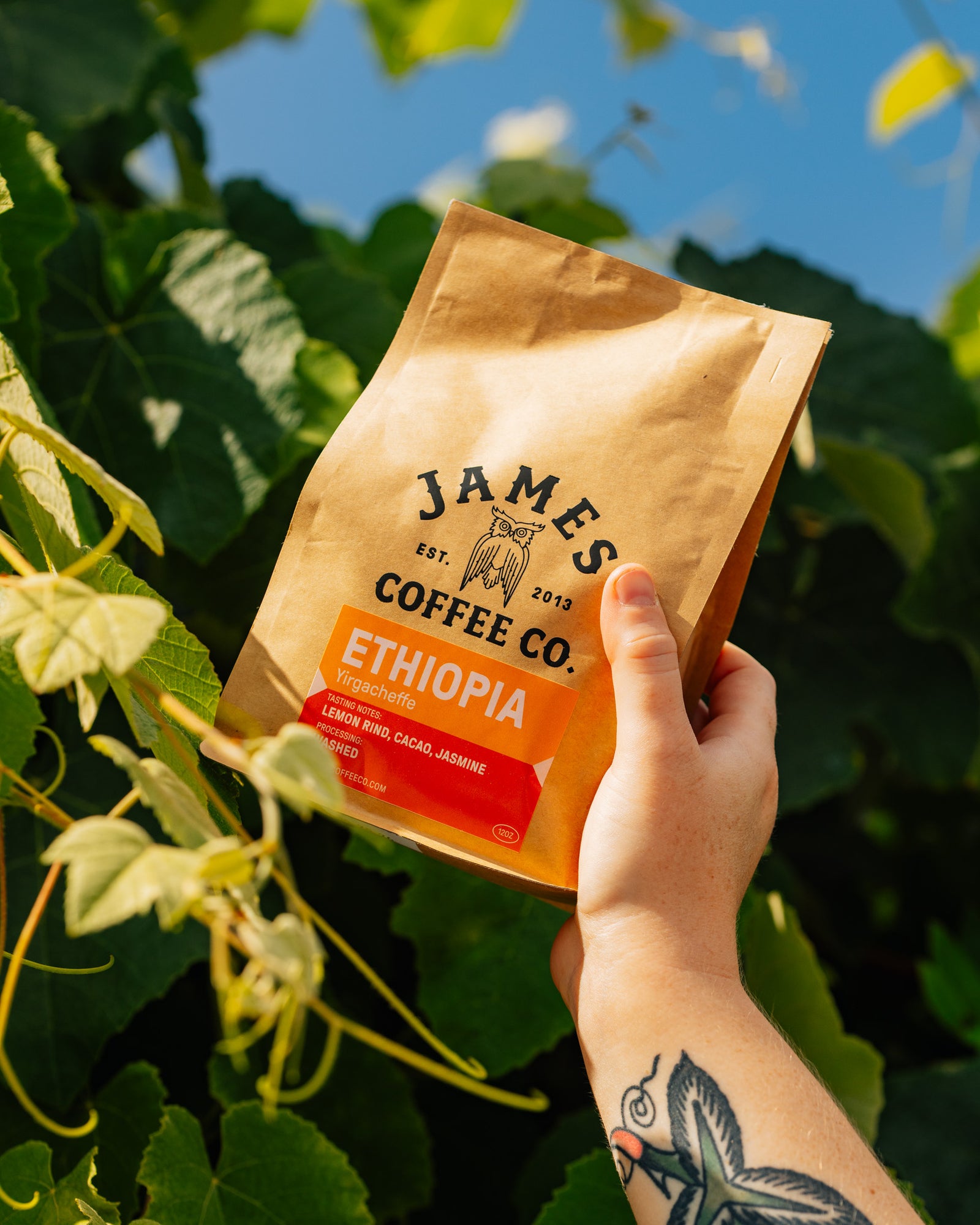 Ethiopia Yirgacheffe Washed
