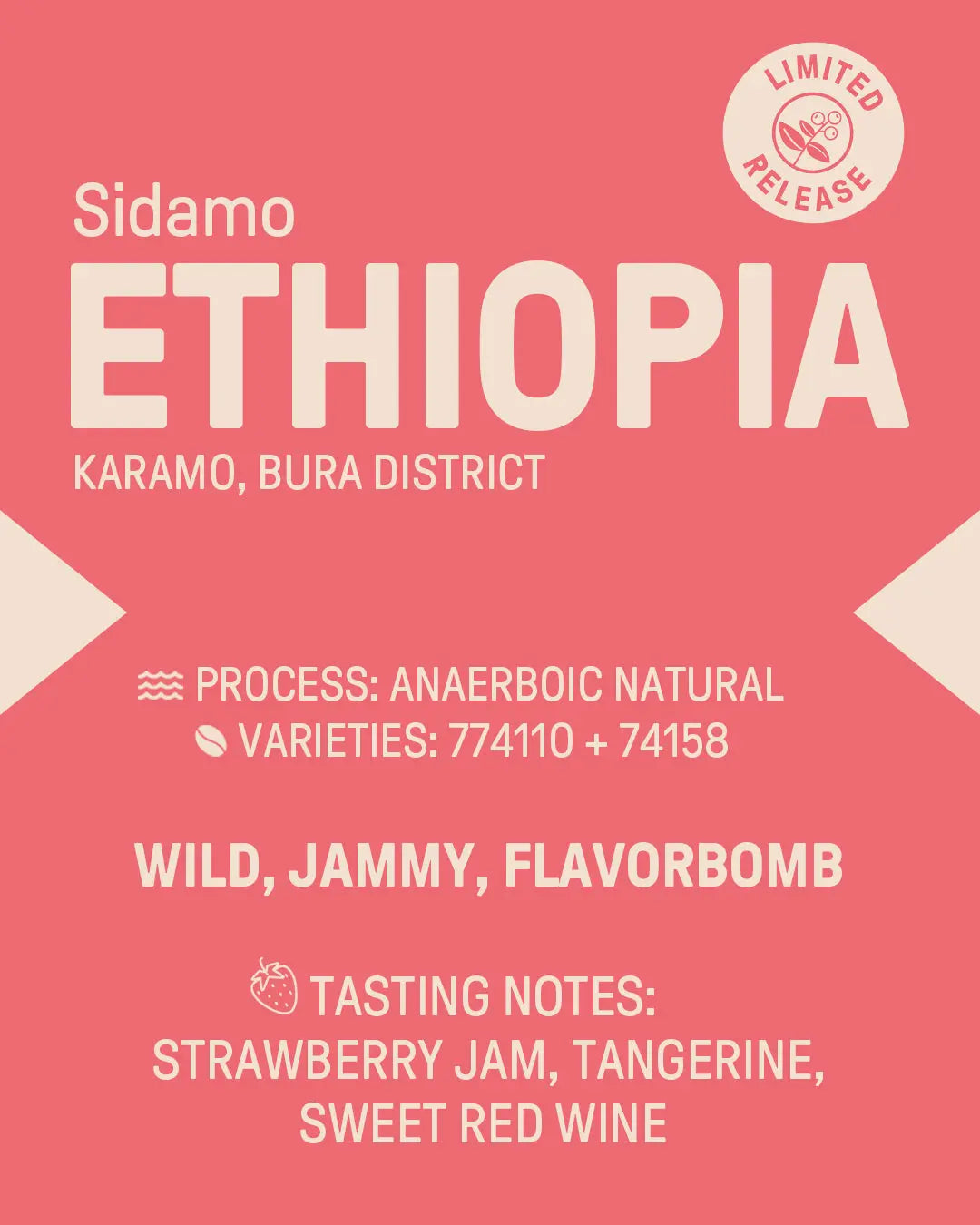 Ethiopia "Sidamo" Anaerobic Natural