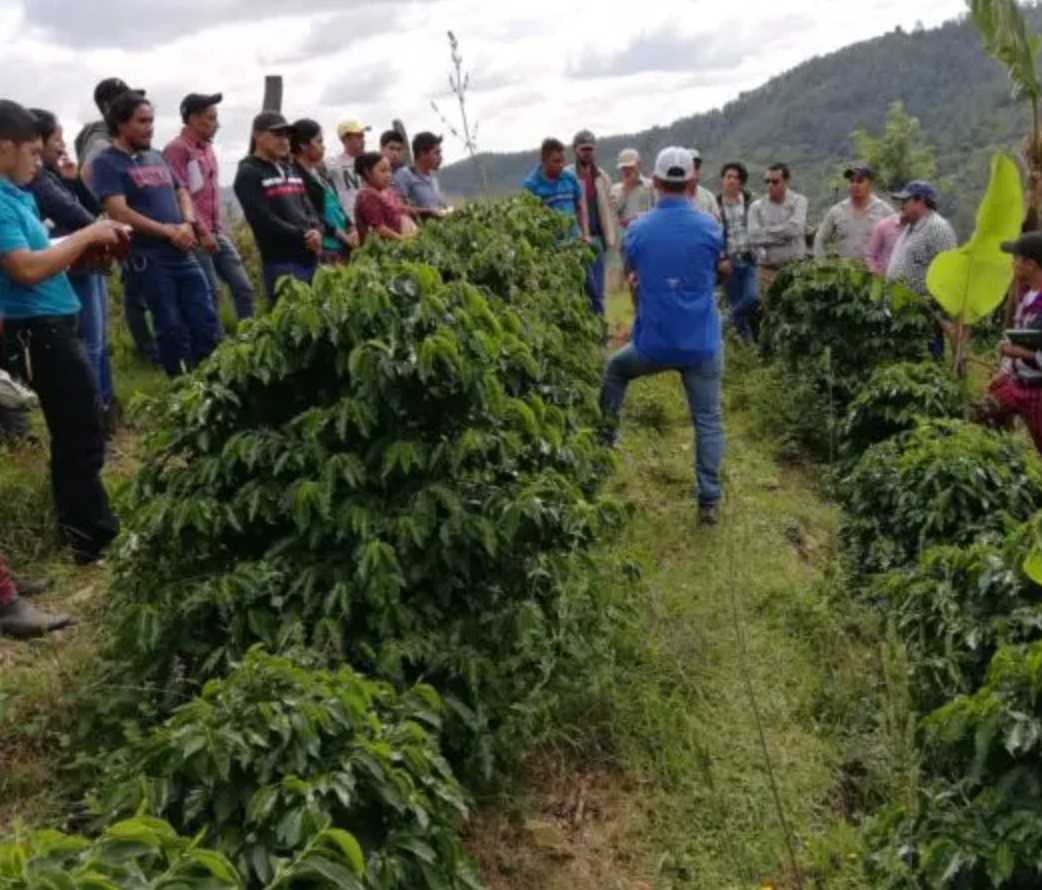 Guatemala "Huehuetenango"