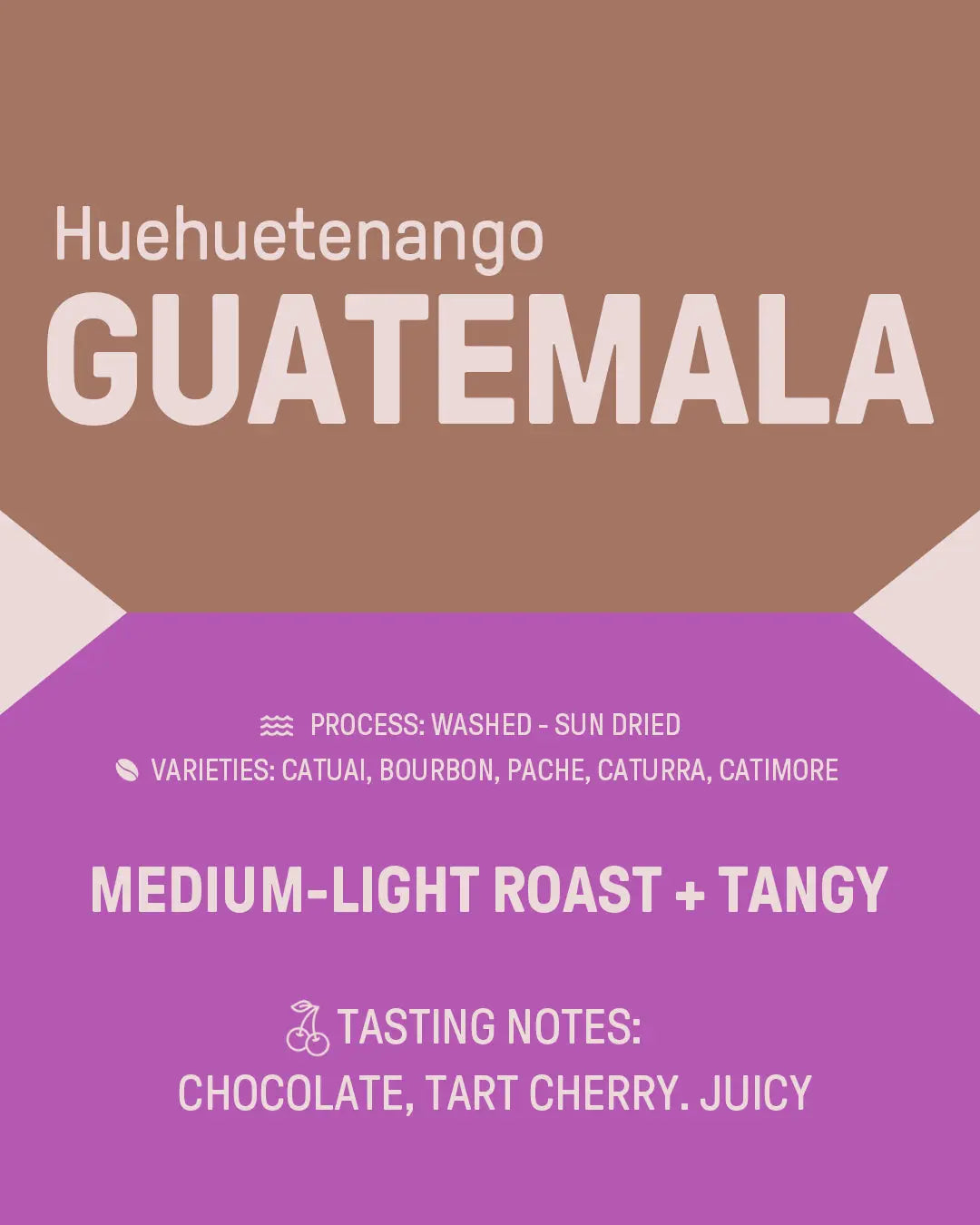 Guatemala "Huehuetenango" James Coffee Co.