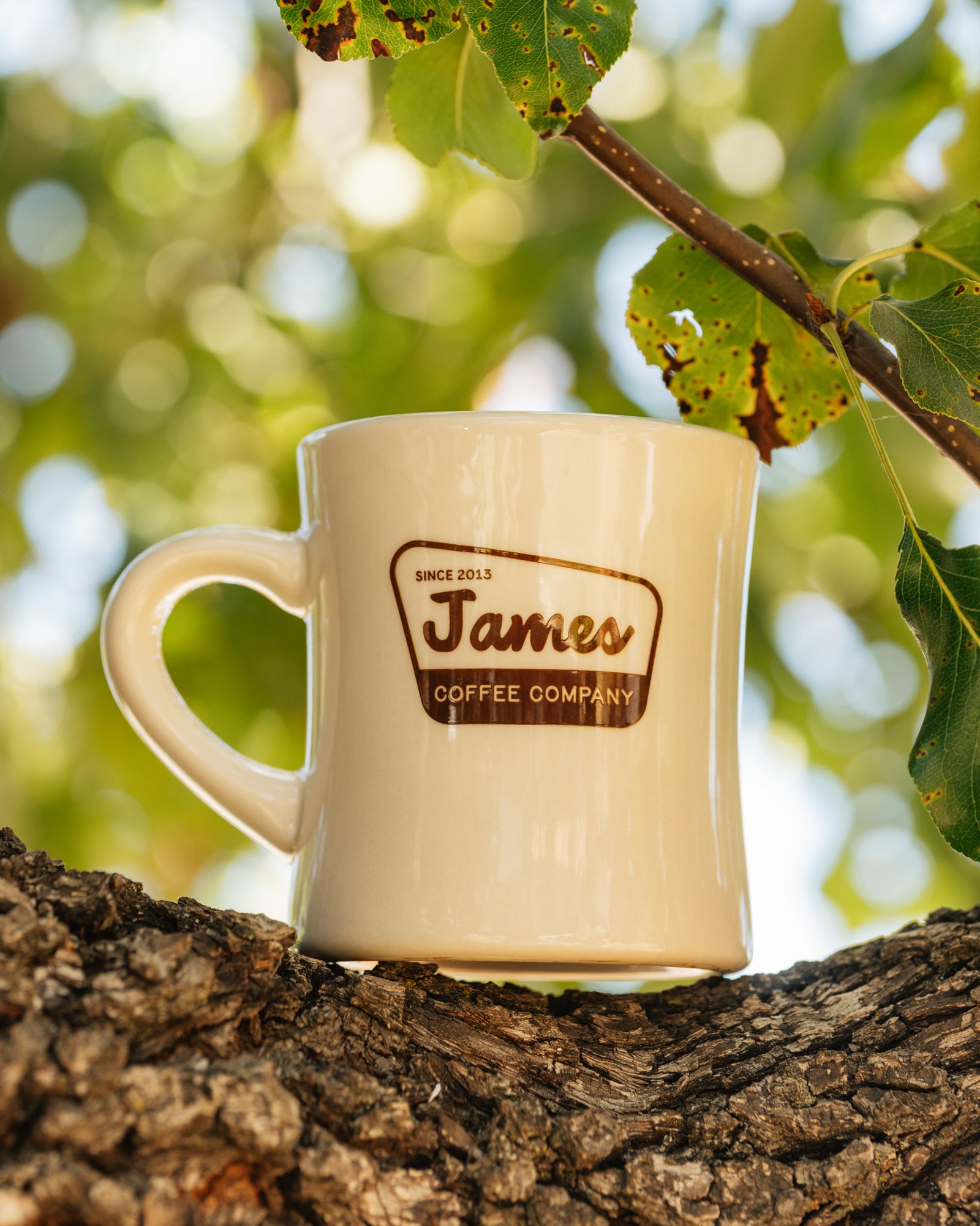 National Parks Owl Diner Mug