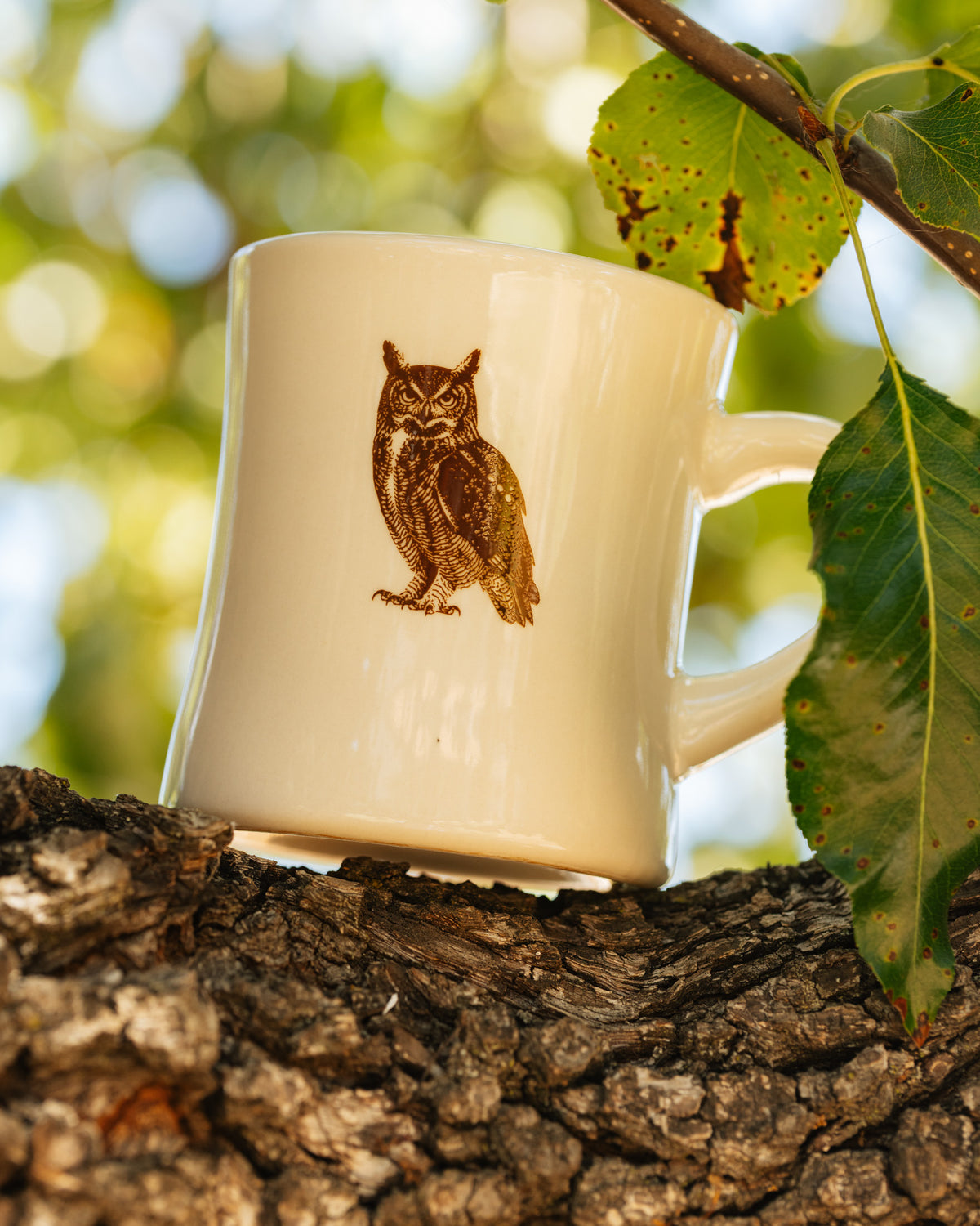 National Parks Owl Diner Mug