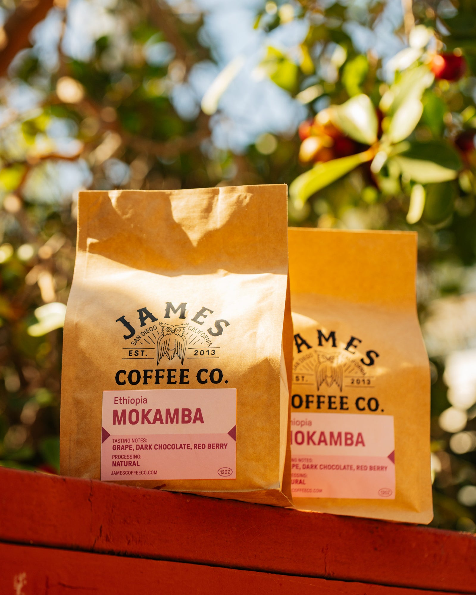 Ethiopia Mokamba Natural James Coffee Co.
