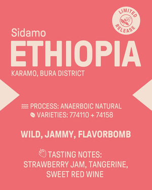 Ethiopia "Sidamo" Anaerobic Natural James Coffee Co.