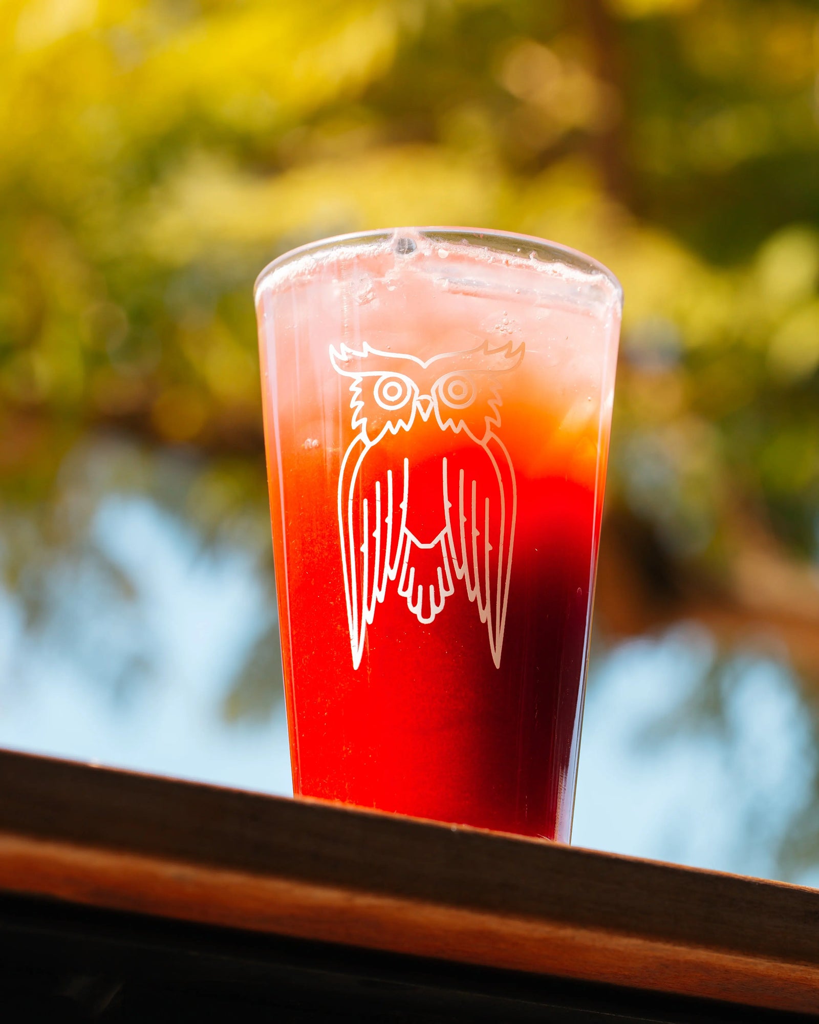 Owl Pint Glass
