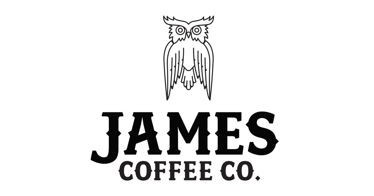 Cobalt Owl Mug - 10 oz. - James Coffee Co