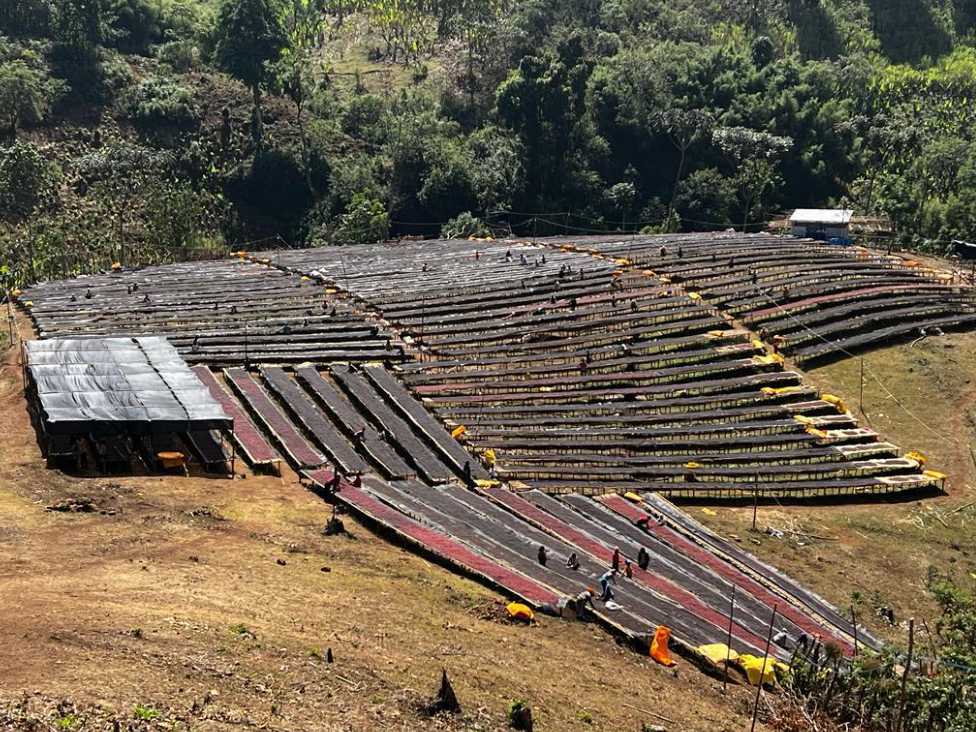 Ethiopia "Sidamo" Anaerobic Natural