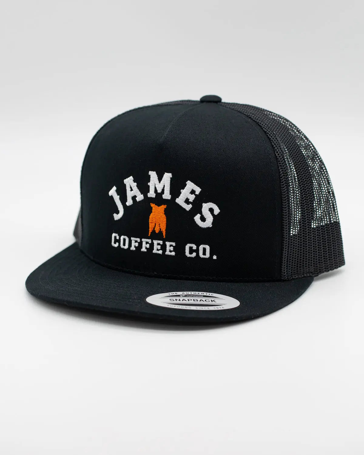 James Logo Snapback Hat