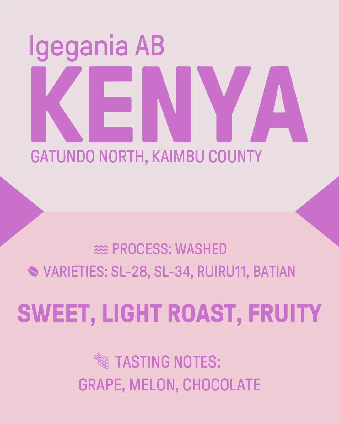 Kenya "Igegania" AB James Coffee Co.